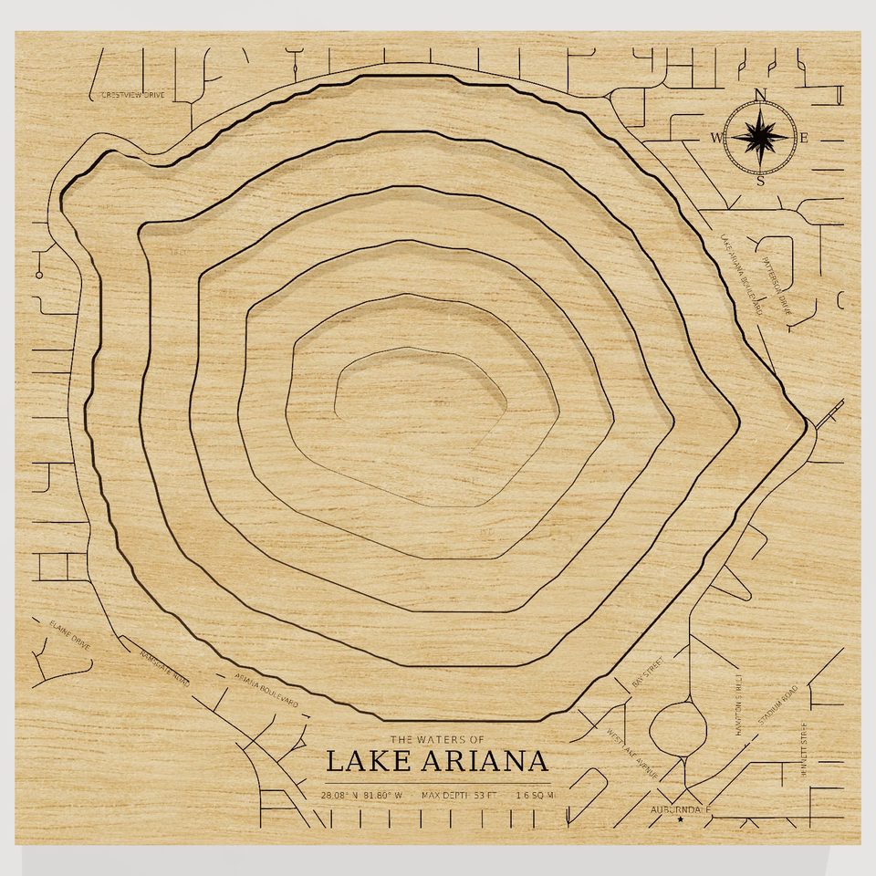 Lake Ariana 3D wood map, front view