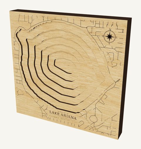 Lake Ariana wood map
