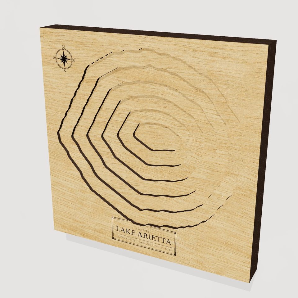 Lake Arietta 3D wood map, hero view
