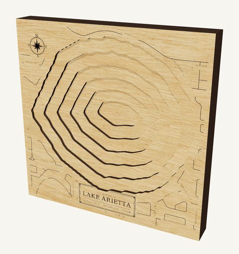 Lake Arietta wood map