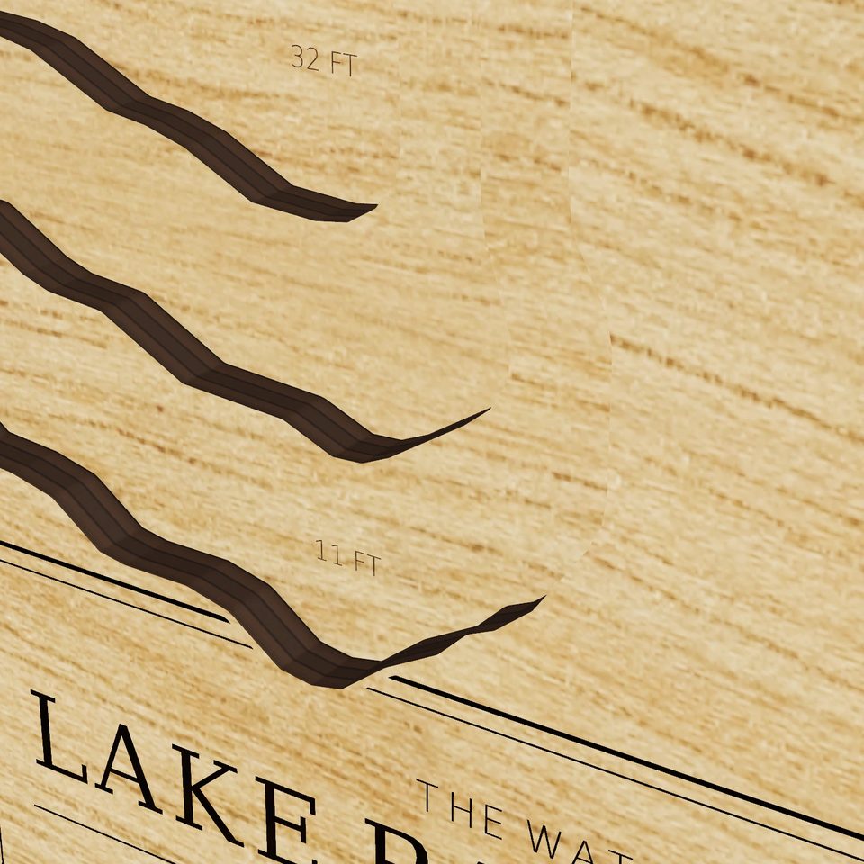 Lake Ballantyne 3D wood map, detail view