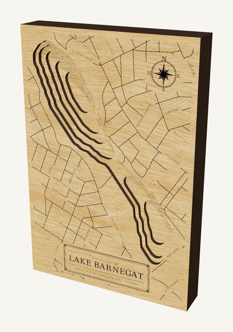 Lake Barnegat wood map