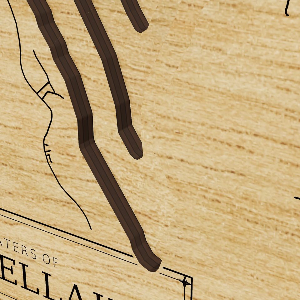 Lake Bellaire 3D wood map, detail view