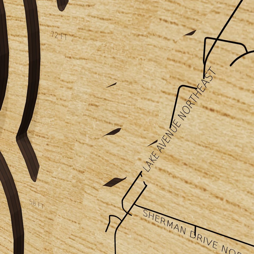 Lake Bemidji 3D wood map, detail view