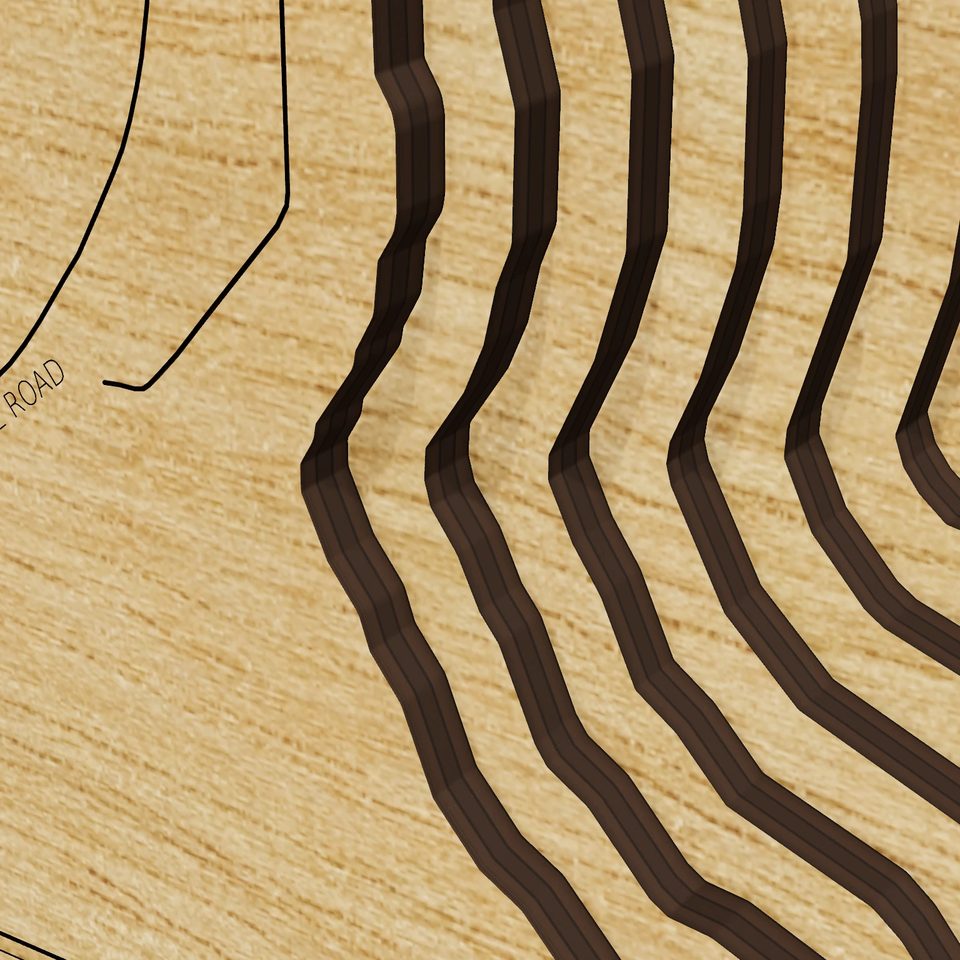Lake Beresford 3D wood map, detail view