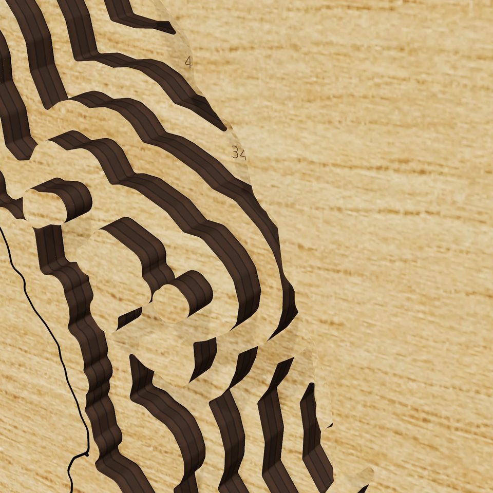Lake Berryessa 3D wood map, detail view