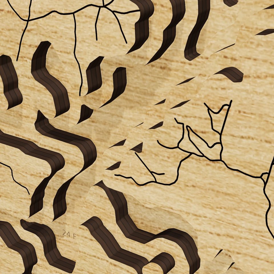 Lake Blue Ridge 3D wood map, detail view