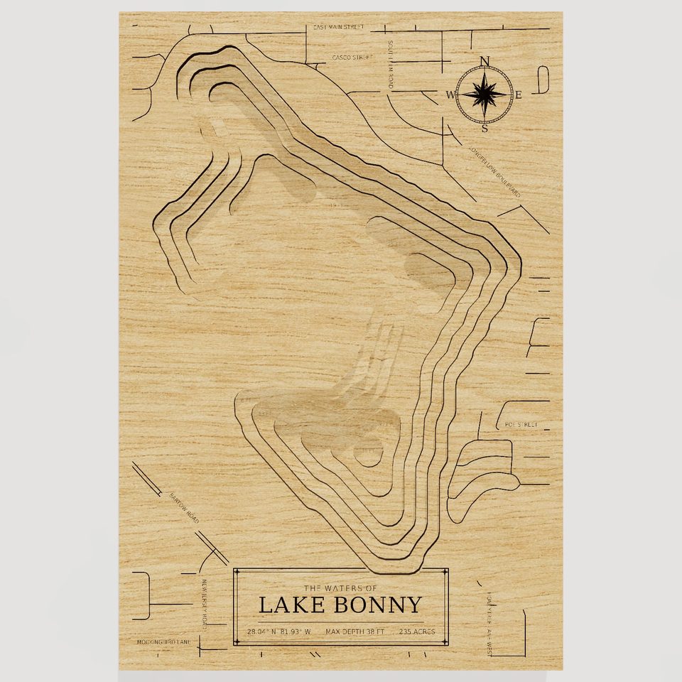 Lake Bonny 3D wood map, front view