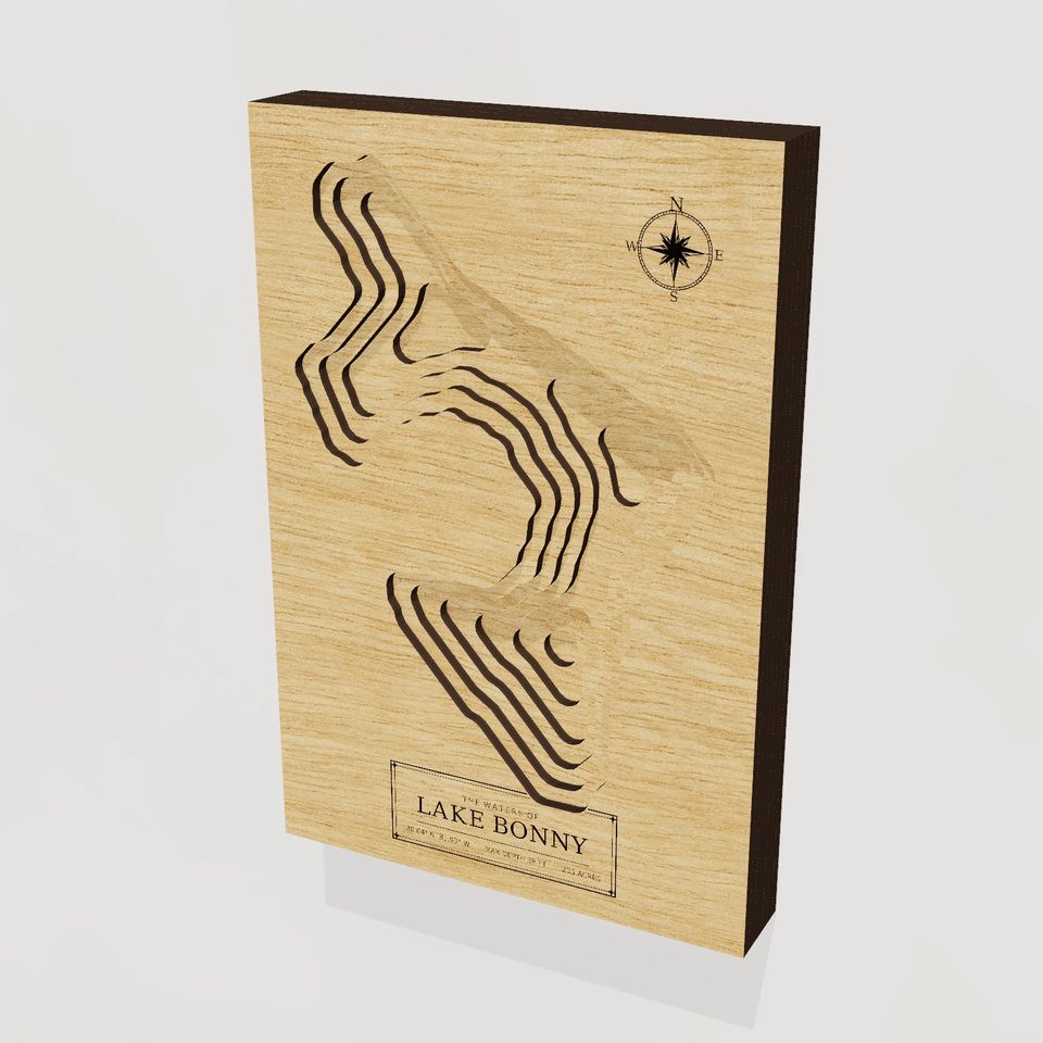 Lake Bonny 3D wood map, hero view
