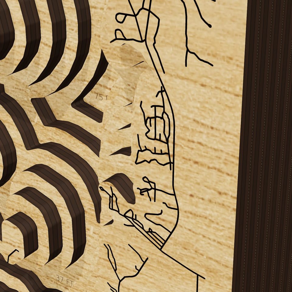 Lake Bridgeport 3D wood map, detail view