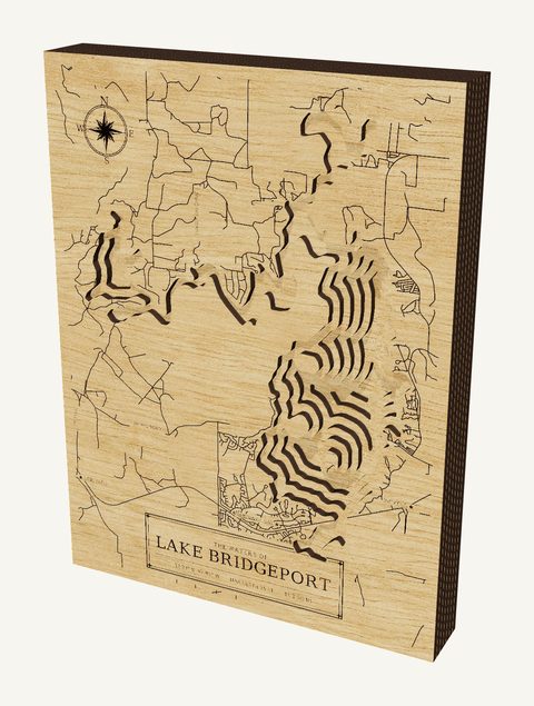 Lake Bridgeport wood map
