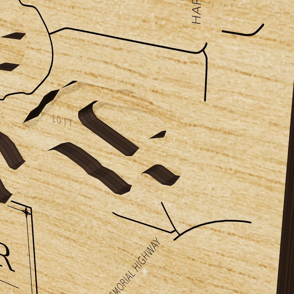Lake Byllesby Reservoir 3D wood map, detail view