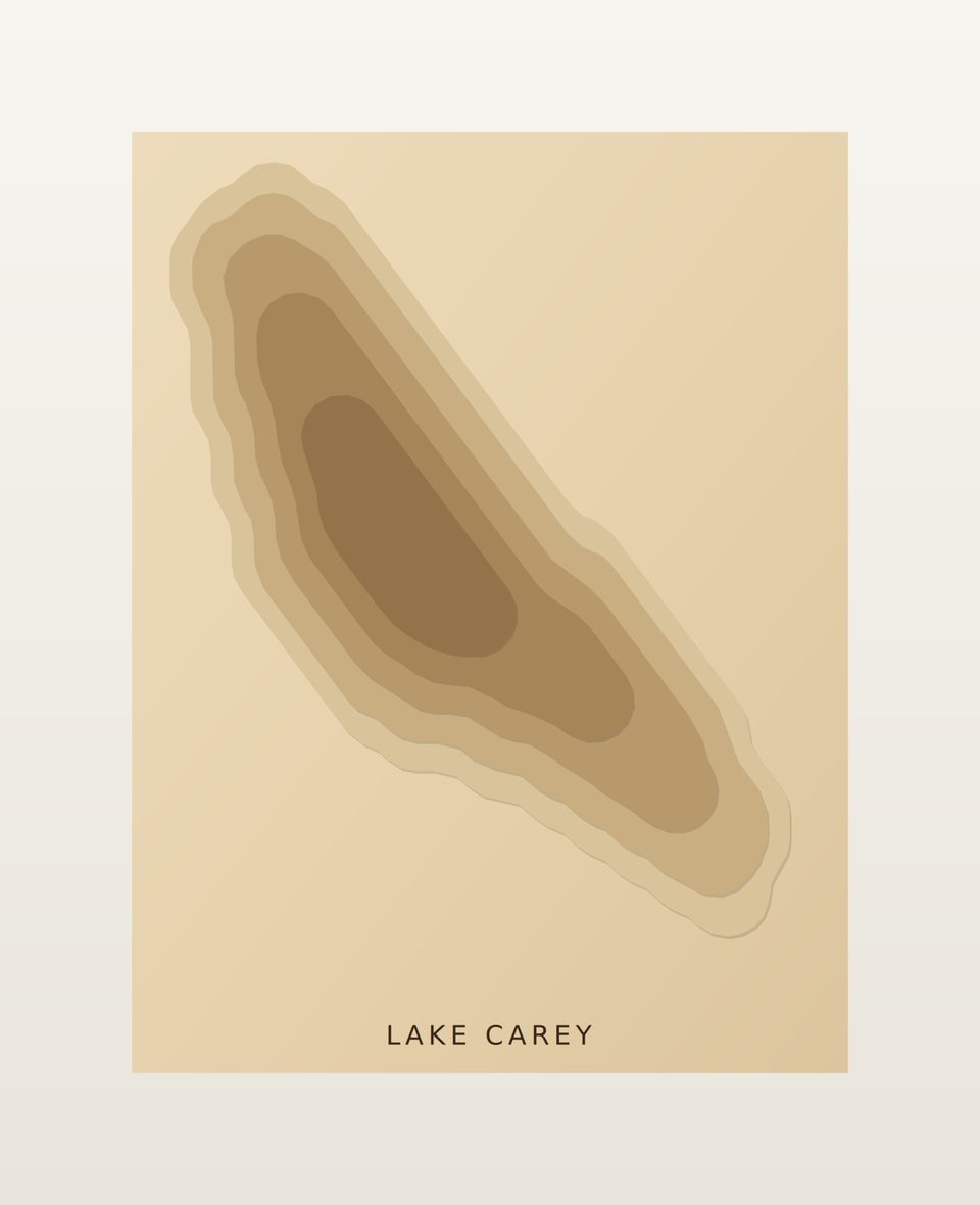 Lake Carey 3D wood map, preview view