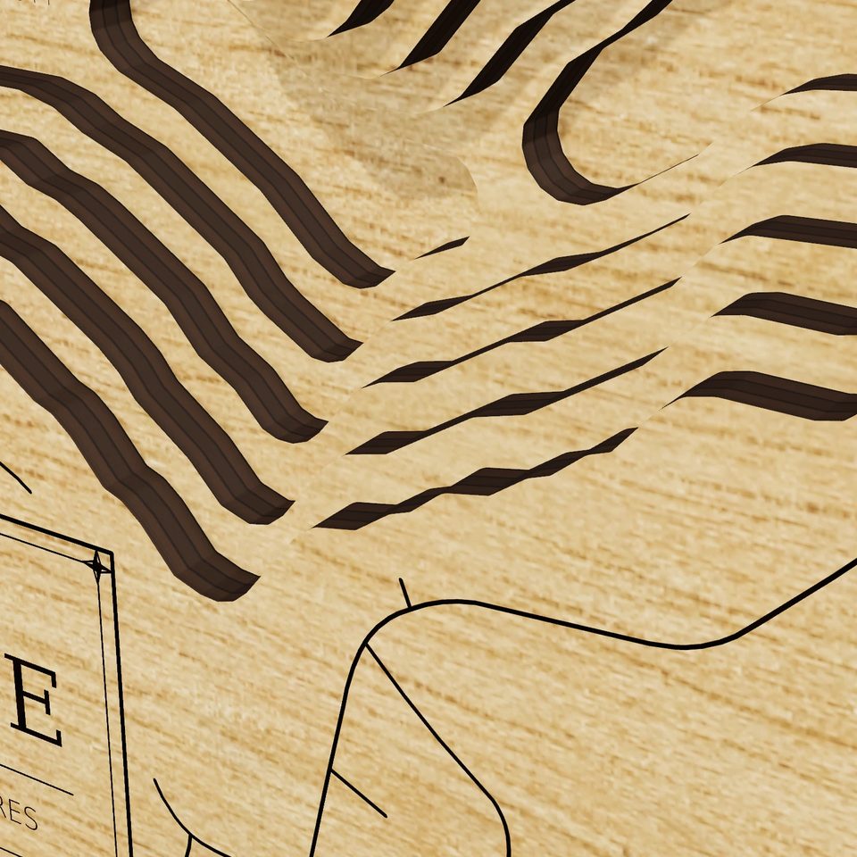 Lake Caroline 3D wood map, detail view