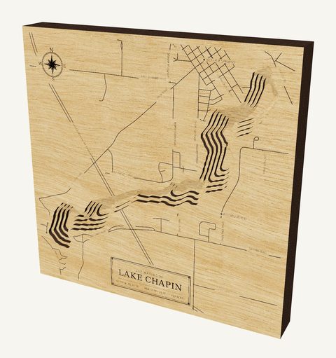 Lake Chapin wood map