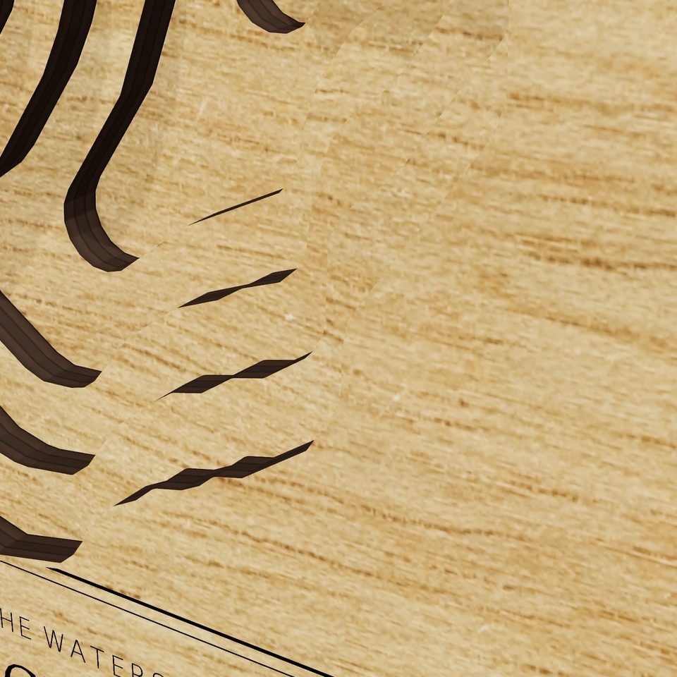 Lake Charlotte 3D wood map, detail view