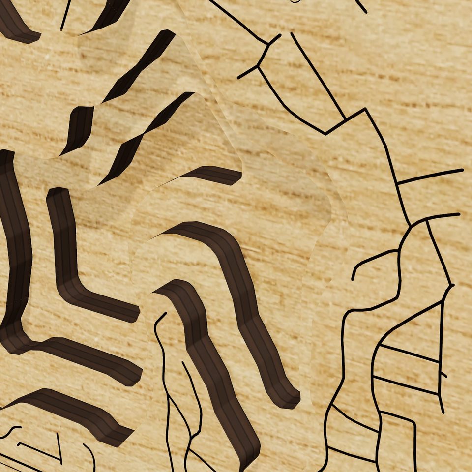 Lake Chaubunagungamaug 3D wood map, detail view
