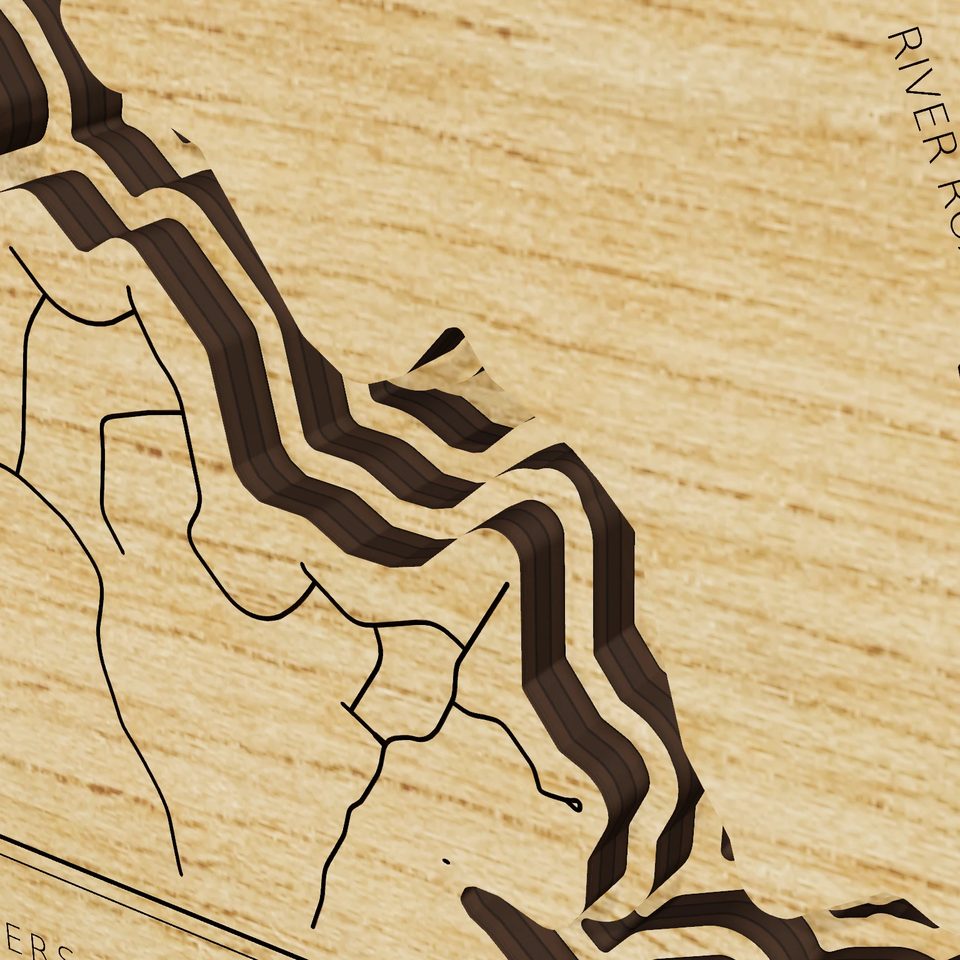 Lake Chesdin 3D wood map, detail view