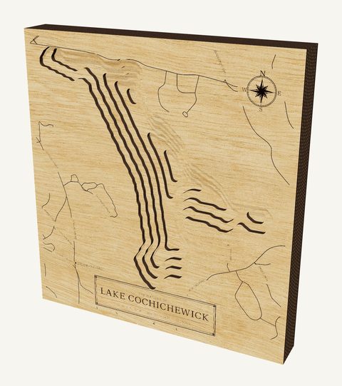 Lake Cochichewick wood map