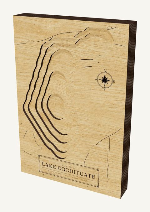 Lake Cochituate wood map