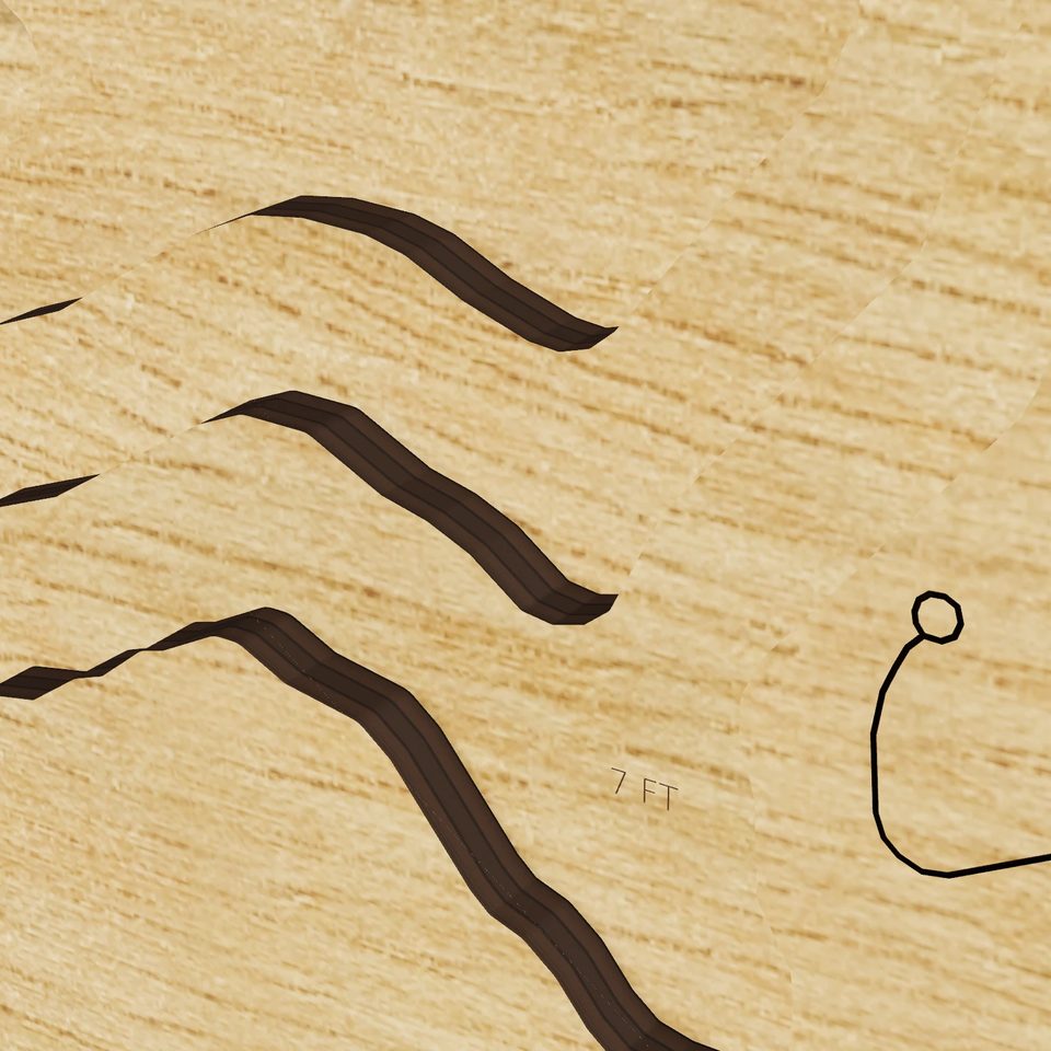 Lake Crabtree 3D wood map, detail view