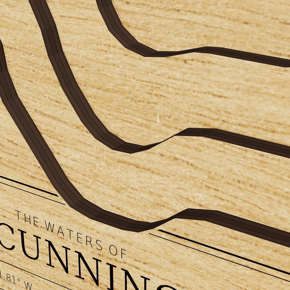 Lake Cunningham 3D wood map, detail view