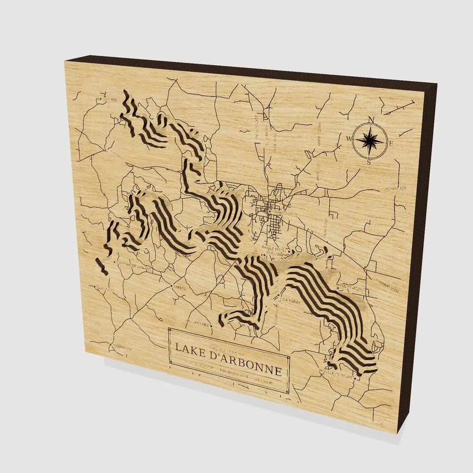 Lake D'Arbonne 3D wood map, hero view