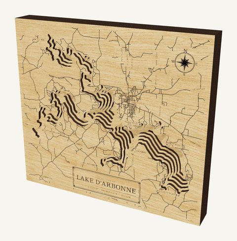 Lake D'Arbonne wood map