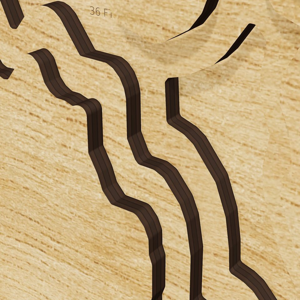Lake Davis 3D wood map, detail view