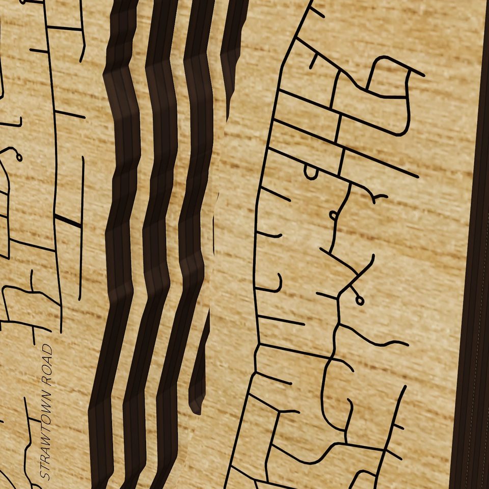 Lake DeForest 3D wood map, detail view