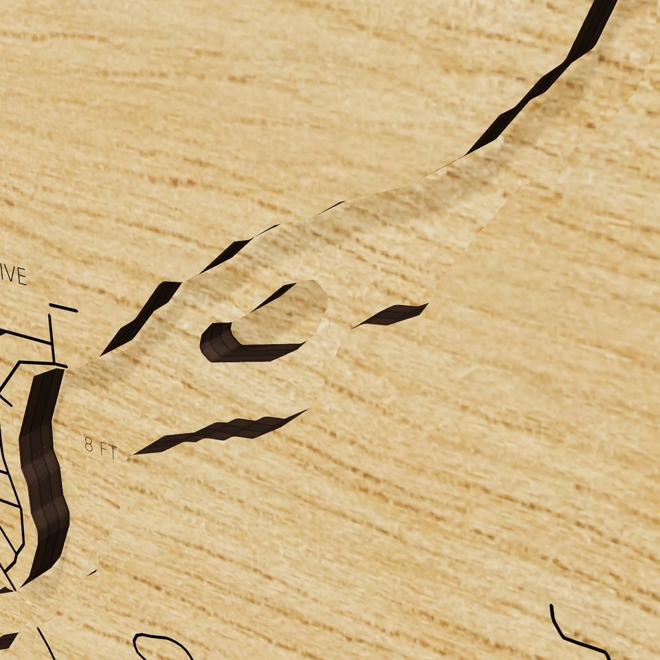 Lake Delavan 3D wood map, detail view