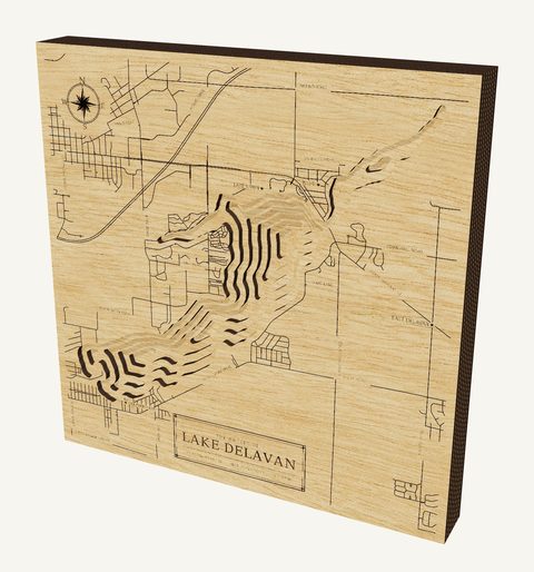 Lake Delavan wood map