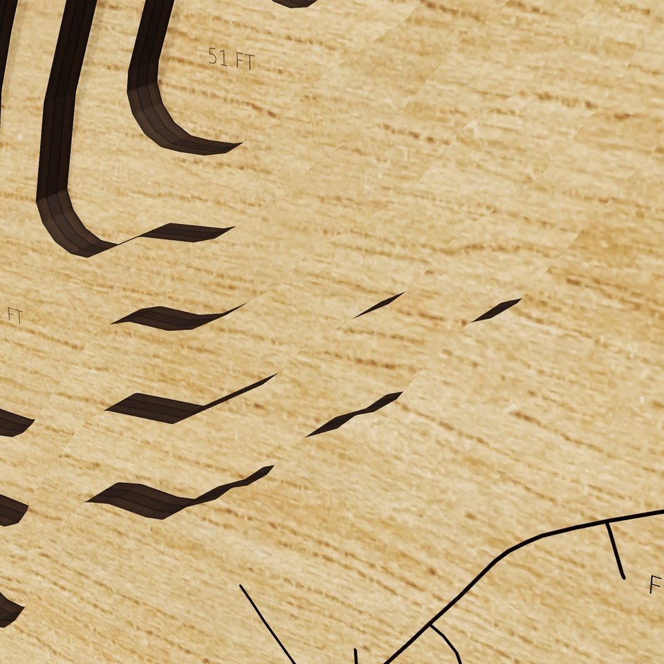 Lake Delton 3D wood map, detail view