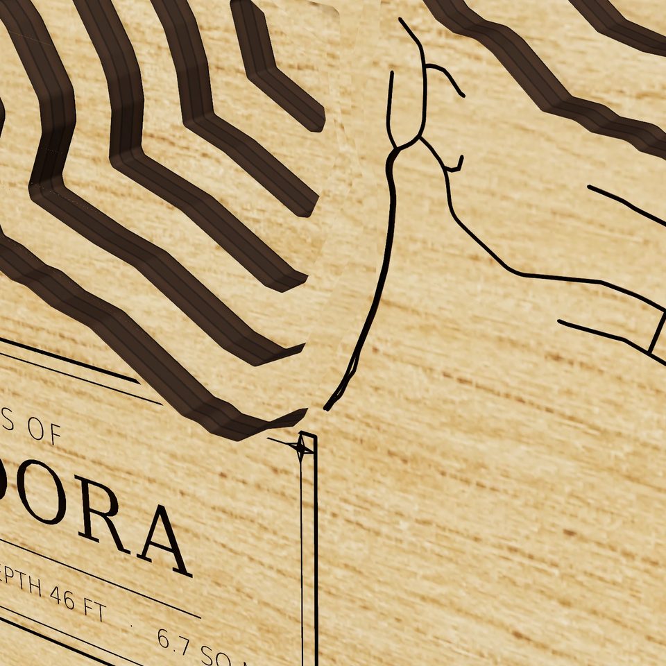 Lake Dora 3D wood map, detail view