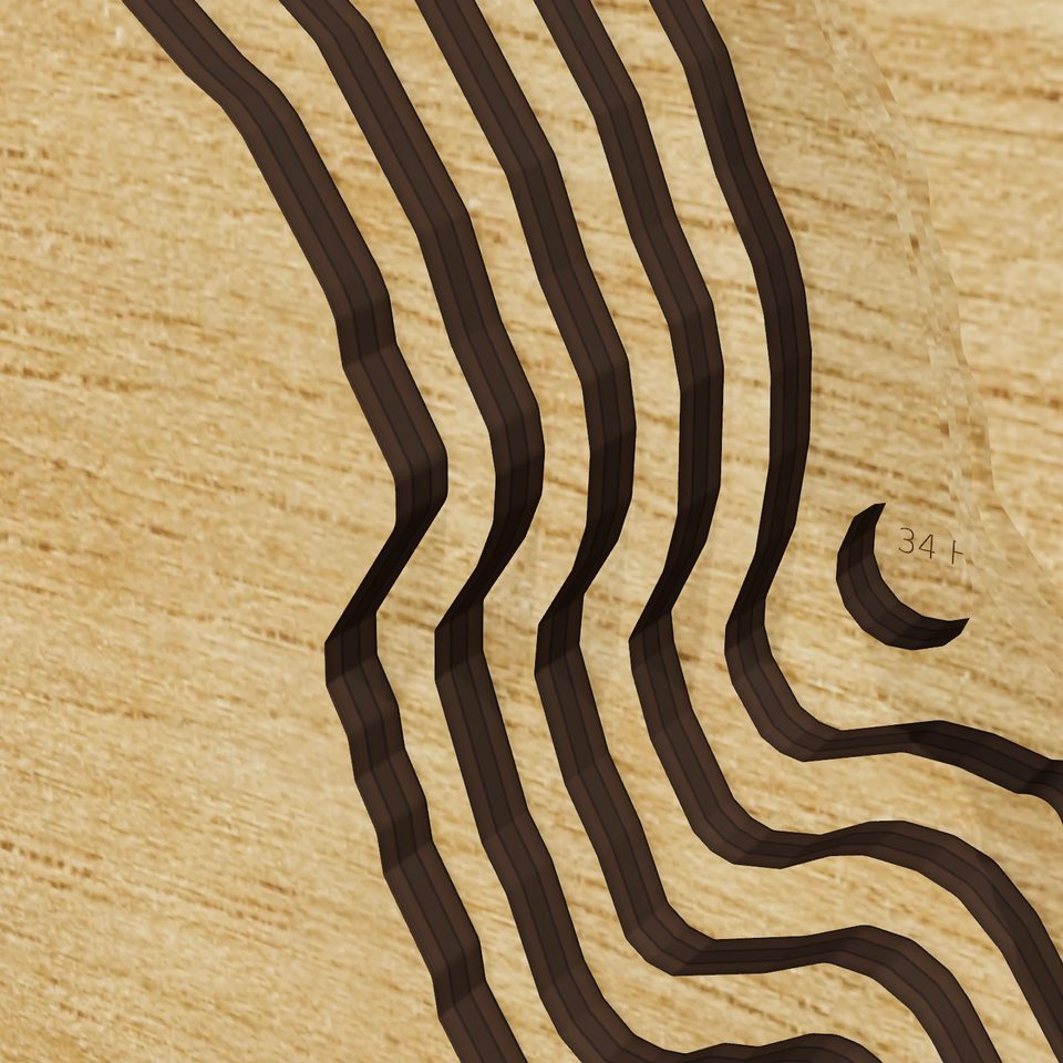 Lake Dorothy 3D wood map, detail view