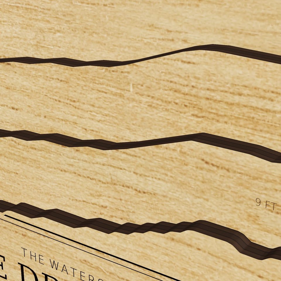 Lake Drummond 3D wood map, detail view