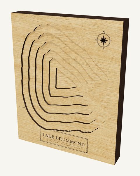 Lake Drummond wood map