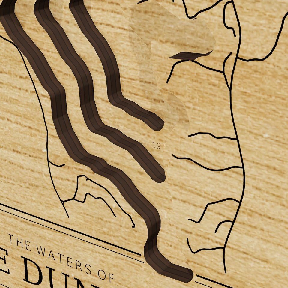 Lake Dunmore 3D wood map, detail view