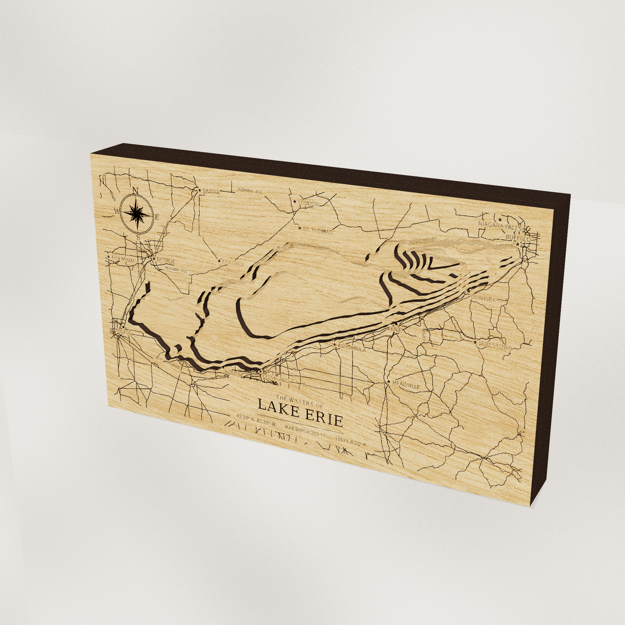 Lake Erie 3D wood map on a wall
