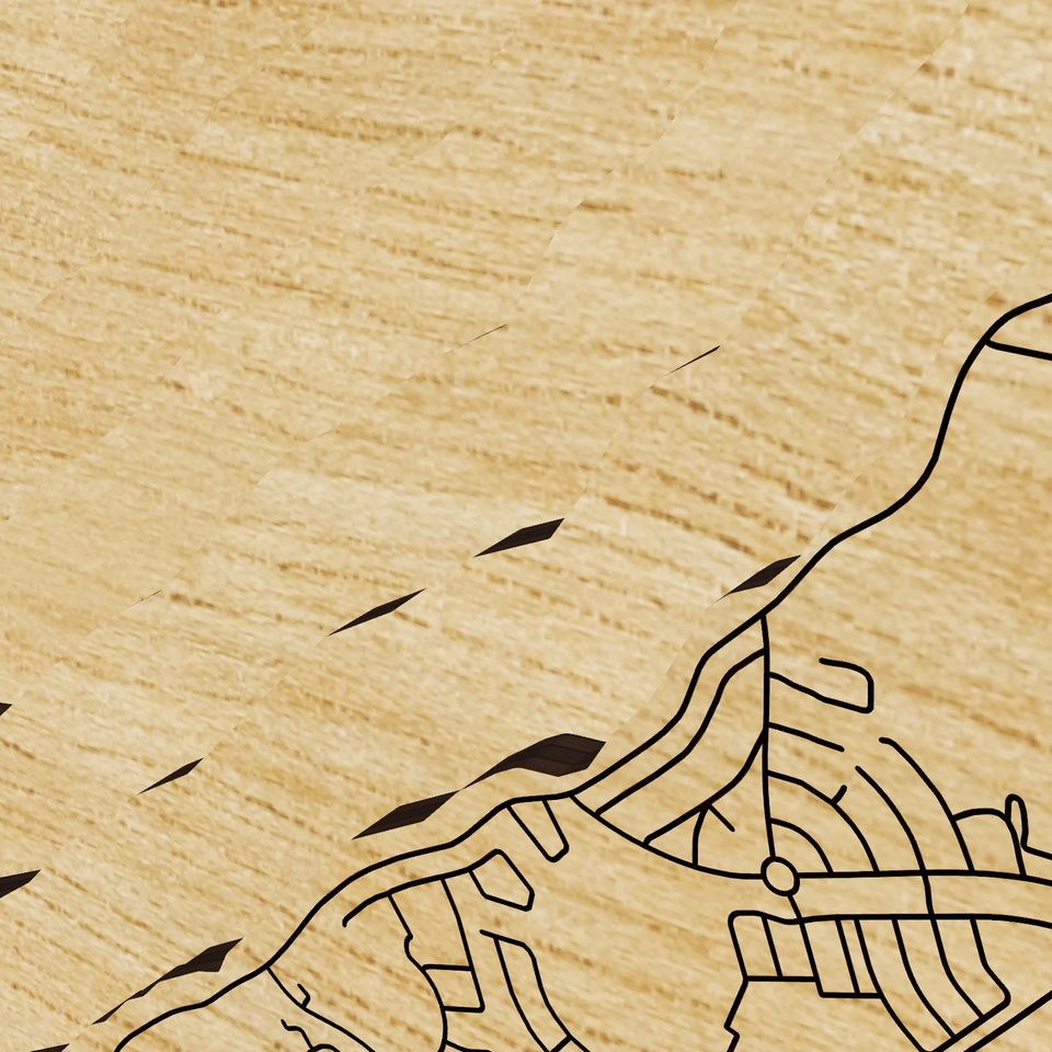 Lake Eustis 3D wood map, detail view