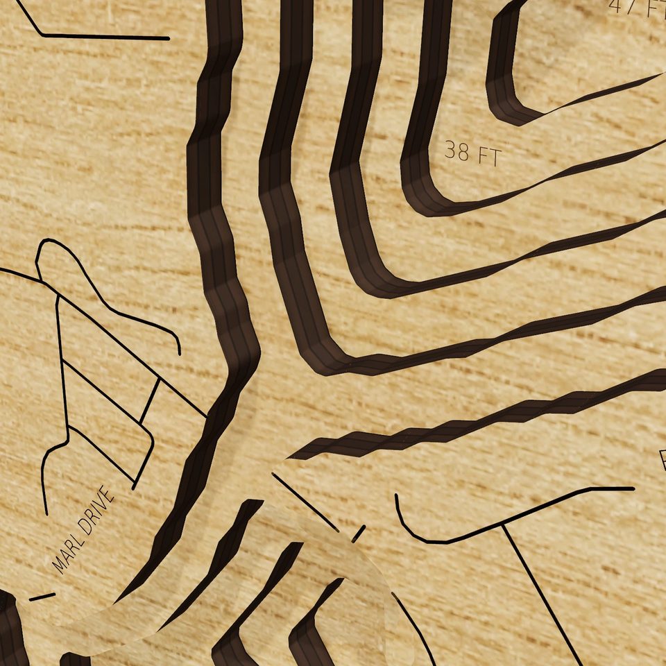 Lake Fenton 3D wood map, detail view