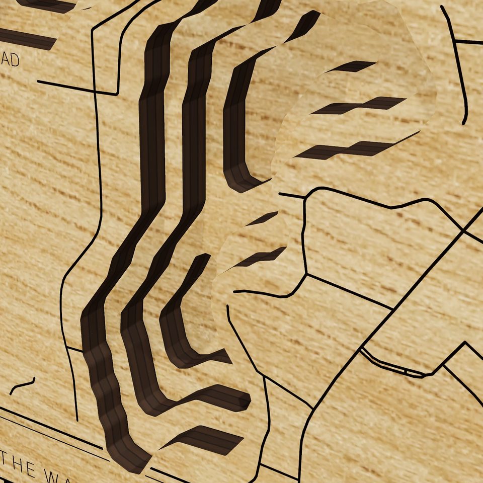 Lake Fenton 3D wood map, detail view
