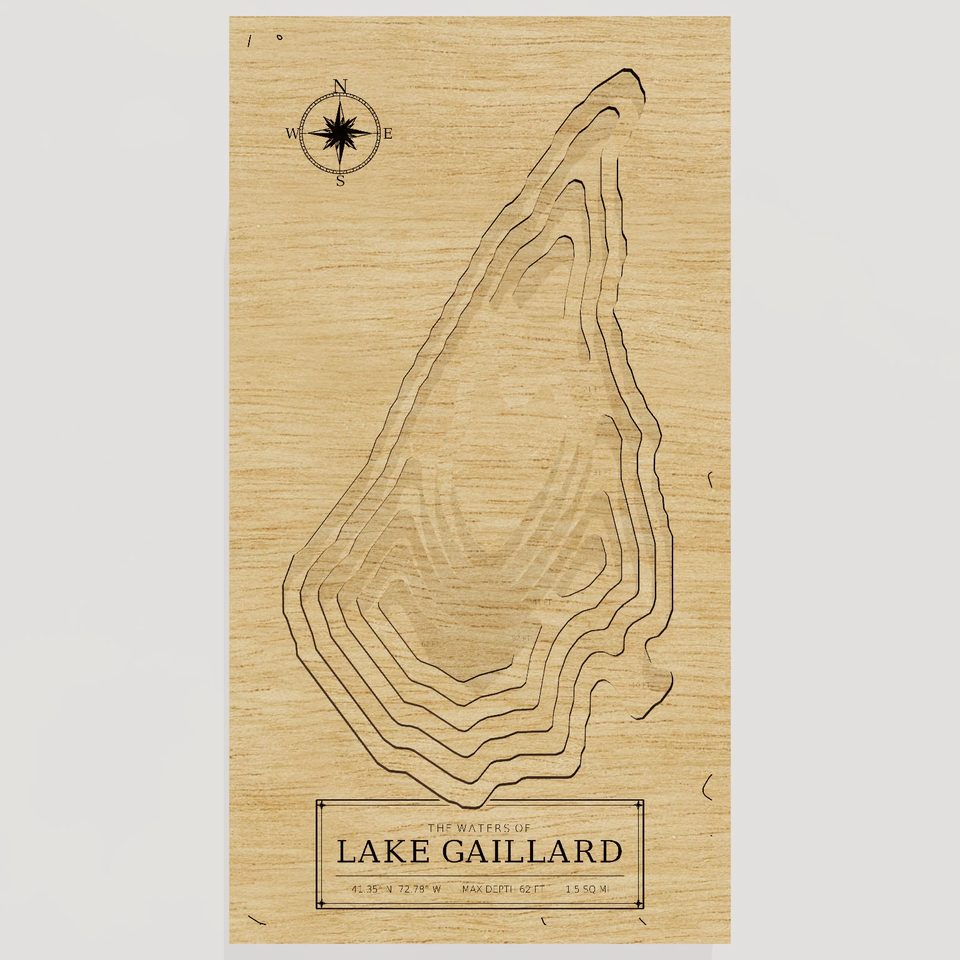 Lake Gaillard 3D wood map, front view