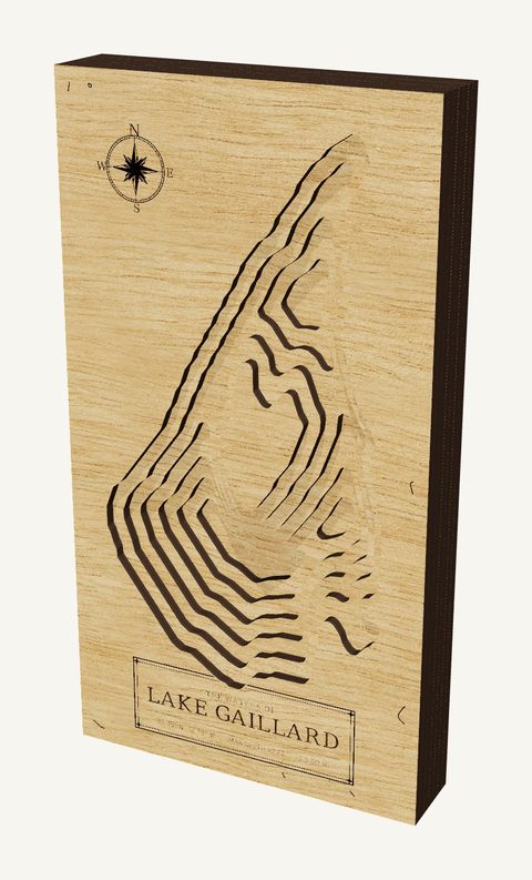 Lake Gaillard wood map