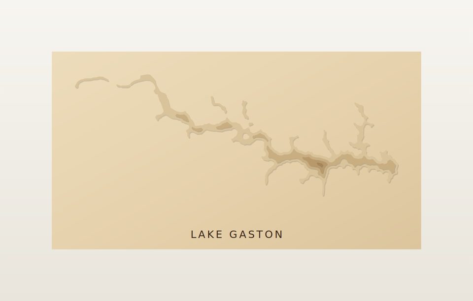 Lake Gaston 3D wood map, preview view