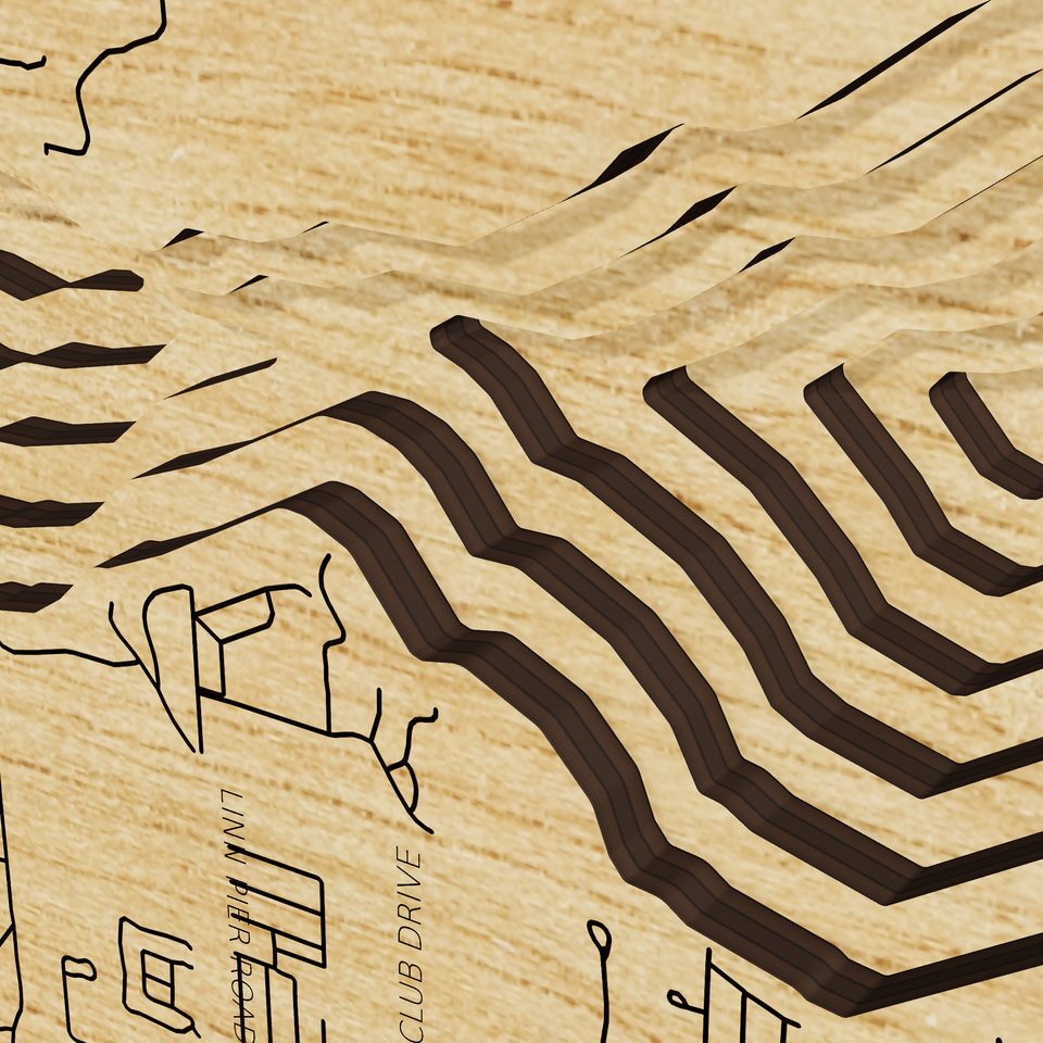 Lake Geneva 3D wood map, detail view