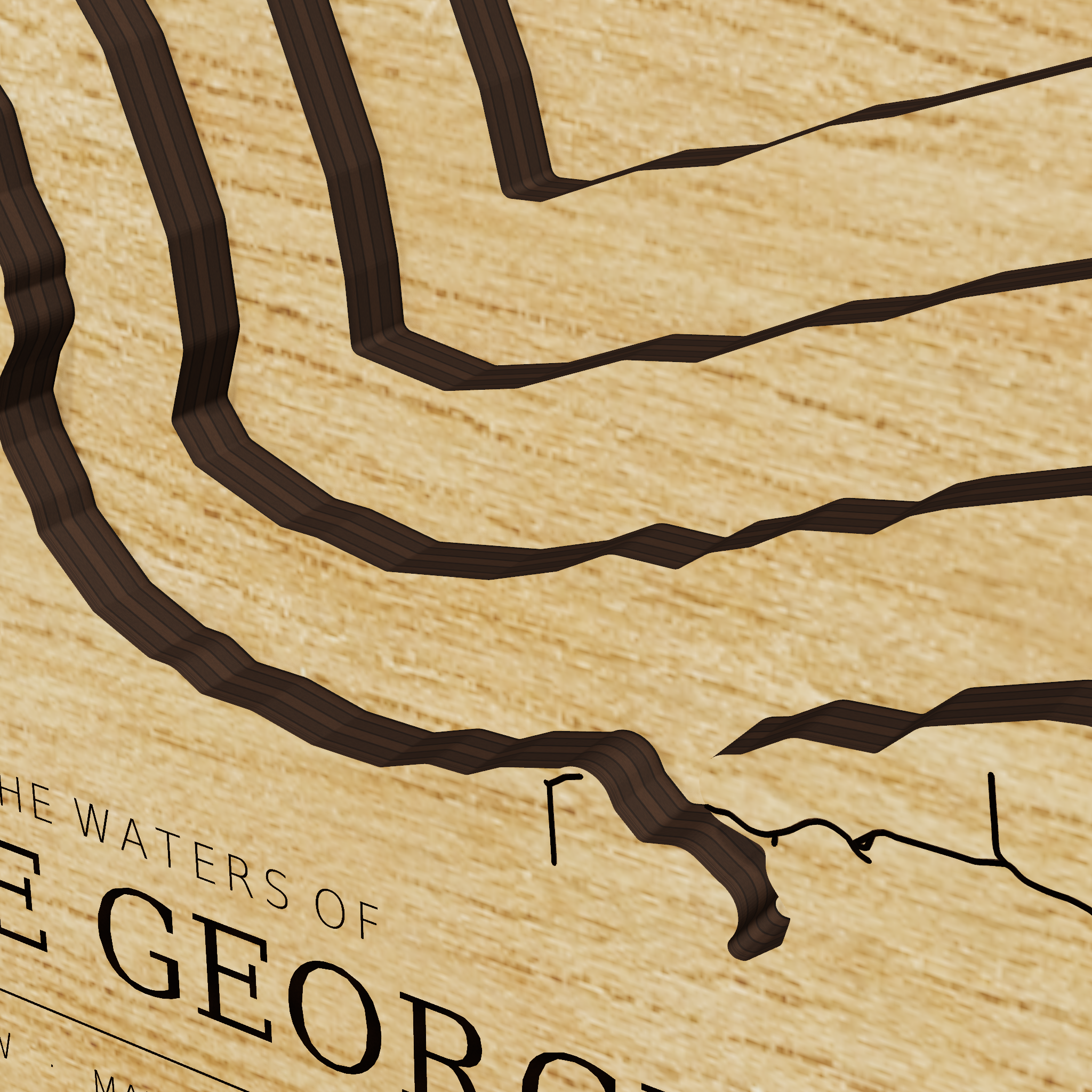 Lake George map, detail view