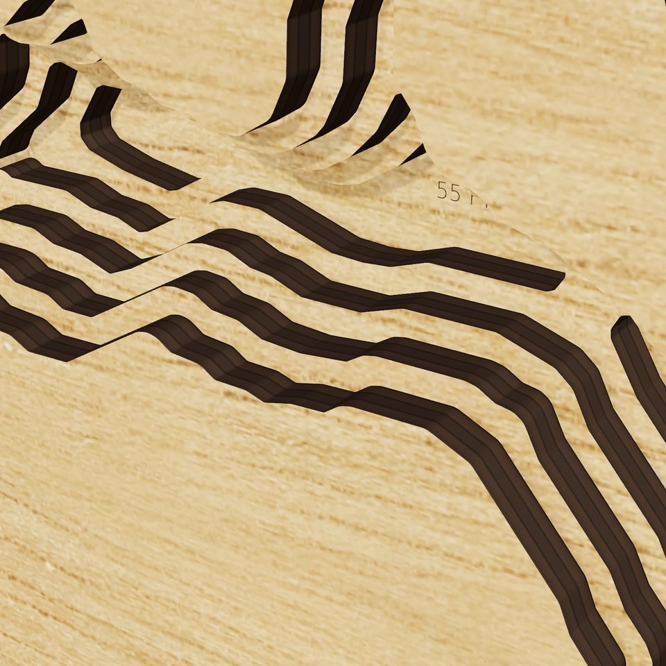 Lake Georgetown 3D wood map, detail view