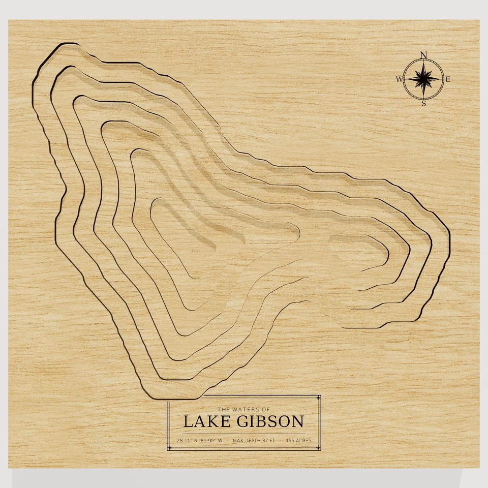 Lake Gibson 3D wood map, front view