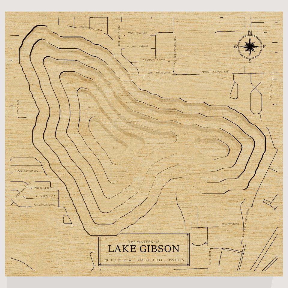 Lake Gibson 3D wood map, front view